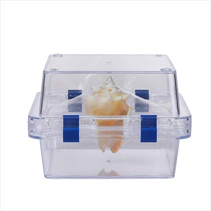 Denture Box with Membrane CPK-M-150100-2