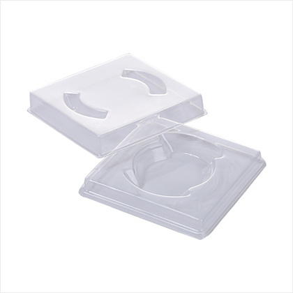 Plastic Packaging Blister