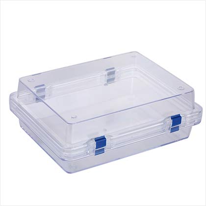 Plastic Membrane Dental Box 