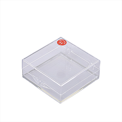 Clear Plastic Storage Containers