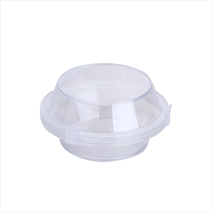 Dental Products Teeth Boxes